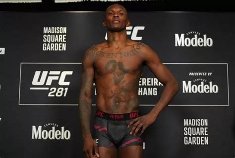 israel adesanya bulge
